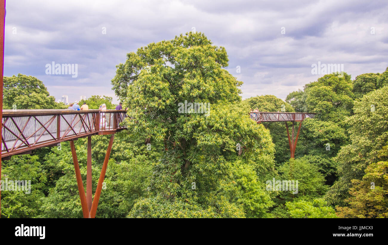 Raised Walkway at Kew Gardens, Richmond, London Stock Photo