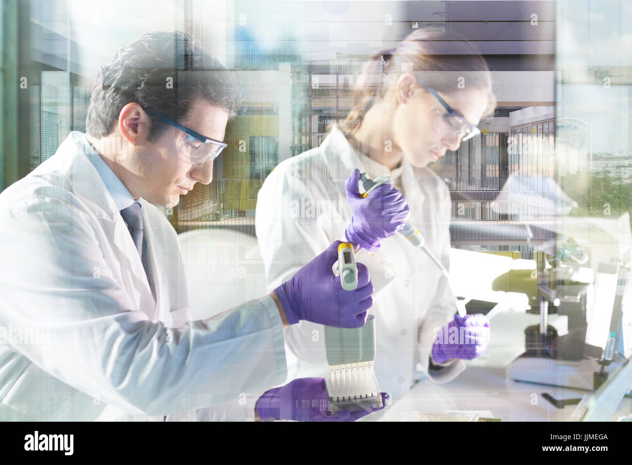 Life scientist researching in the laboratory Stock Photo Alamy