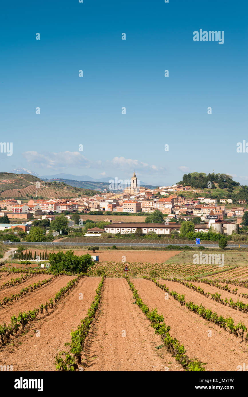 00:02 | 00:08 1× Vineyards With Village Navarrete In The Background, La ...