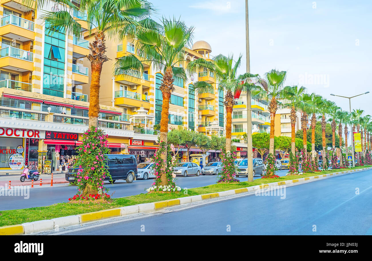 ALANYA, TURKEY - MAY 8, 2017: The row of tall palms, covered with bright flowers separates the road in Ataturk boulevard, located in the city center,  Stock Photo