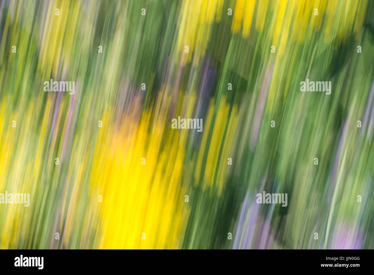 defocused colorful motion blur nature background Stock Photo - Alamy