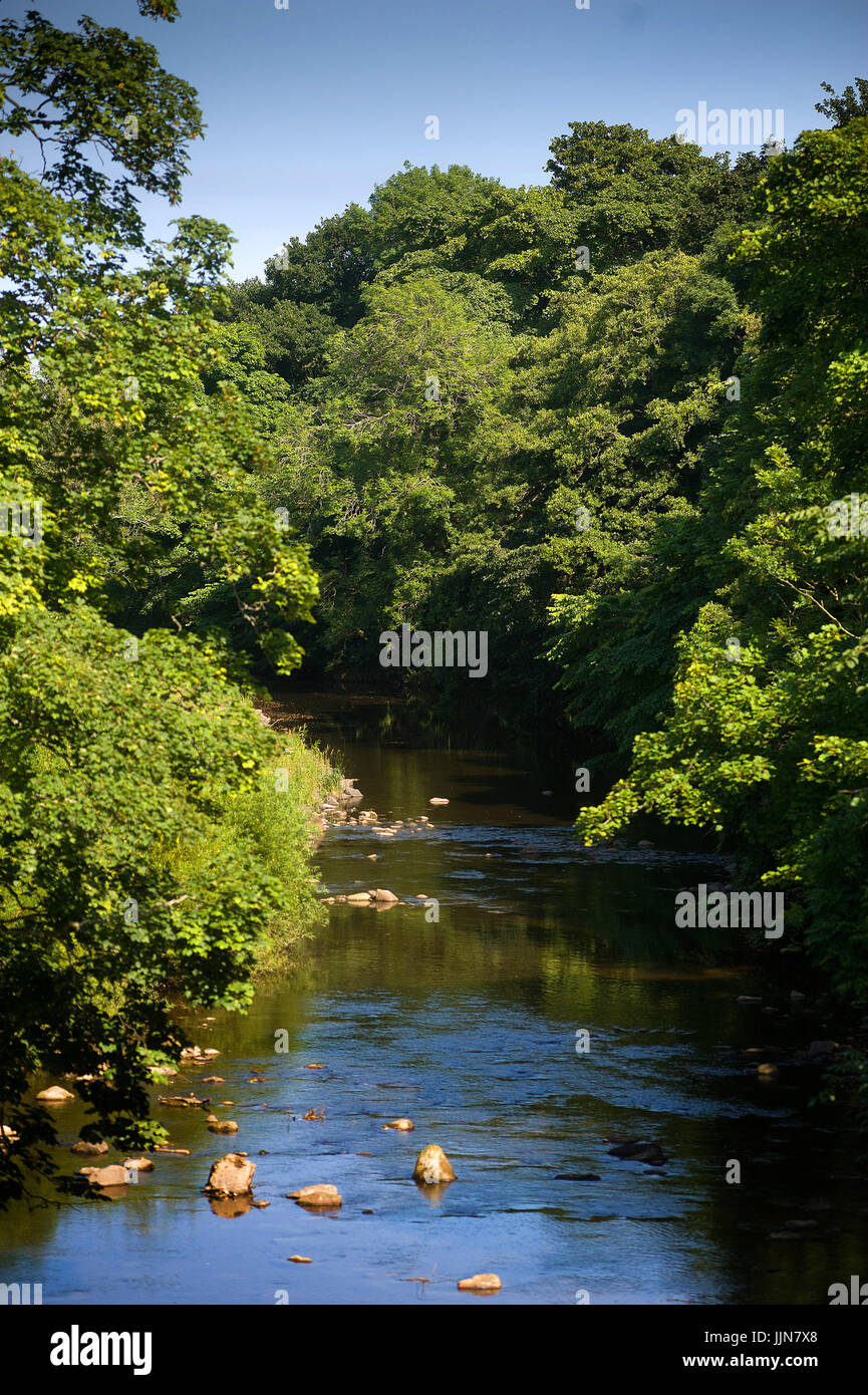 The River Wansbeck, Mitford, Northumberland Stock Photo