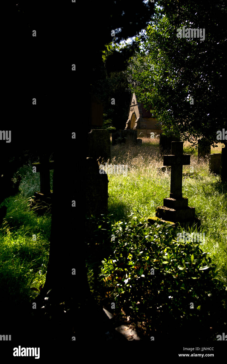 St Mary Magdalene church, Mitford, Northumberland Stock Photo