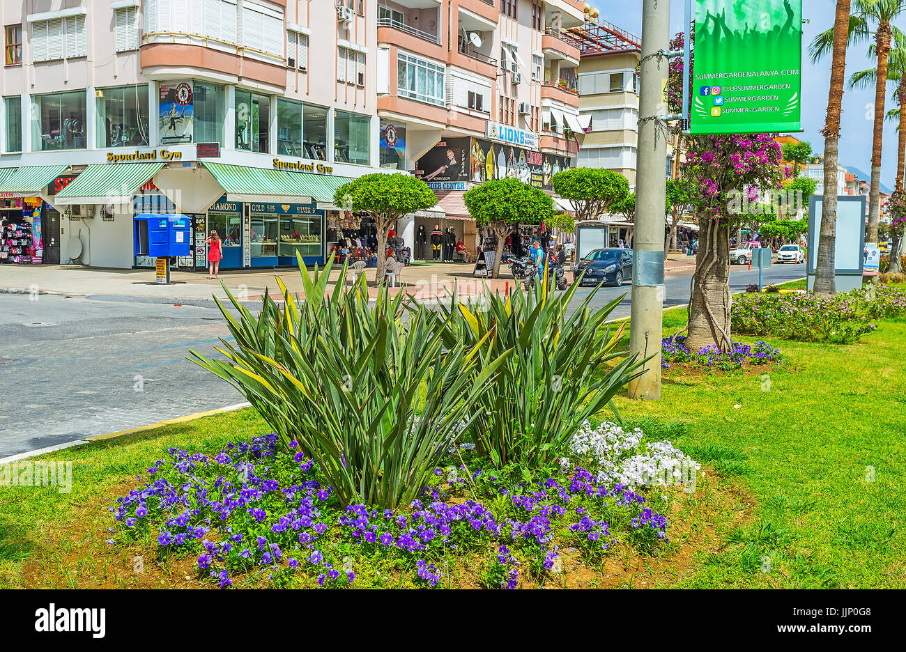 ALANYA, TURKEY - MAY 9, 2017: The bright pancies in flower bed  in the middle of the road of Ataturk Boulevard, on May 9 in Alanya. Stock Photo