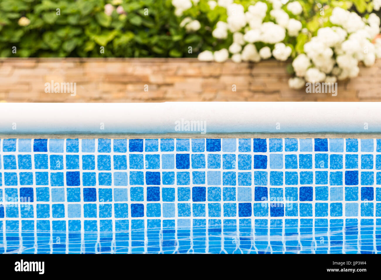 Mosaic blue swimming pool border with flowers and green garden on the