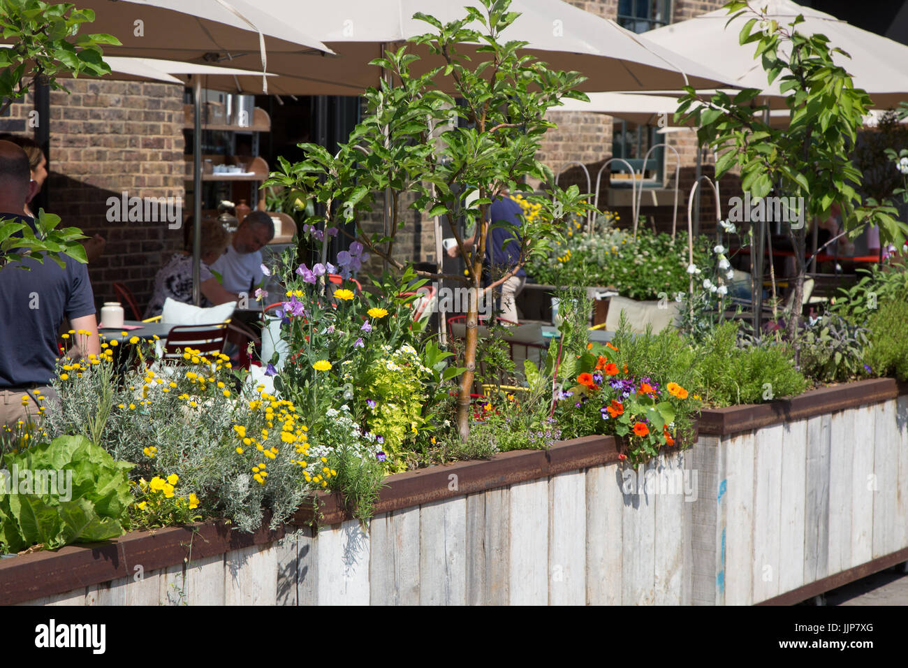 Grain Store, a restaurant in Granary Square King's Cross. Diners are eating al fresco in the garden outside Stock Photo
