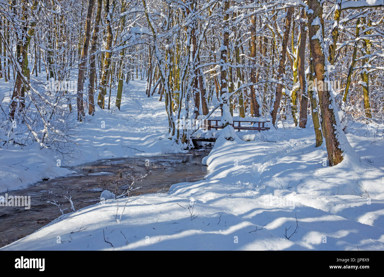 creek in winter forest in Little Carpathian hills - Slovakia Stock Photo