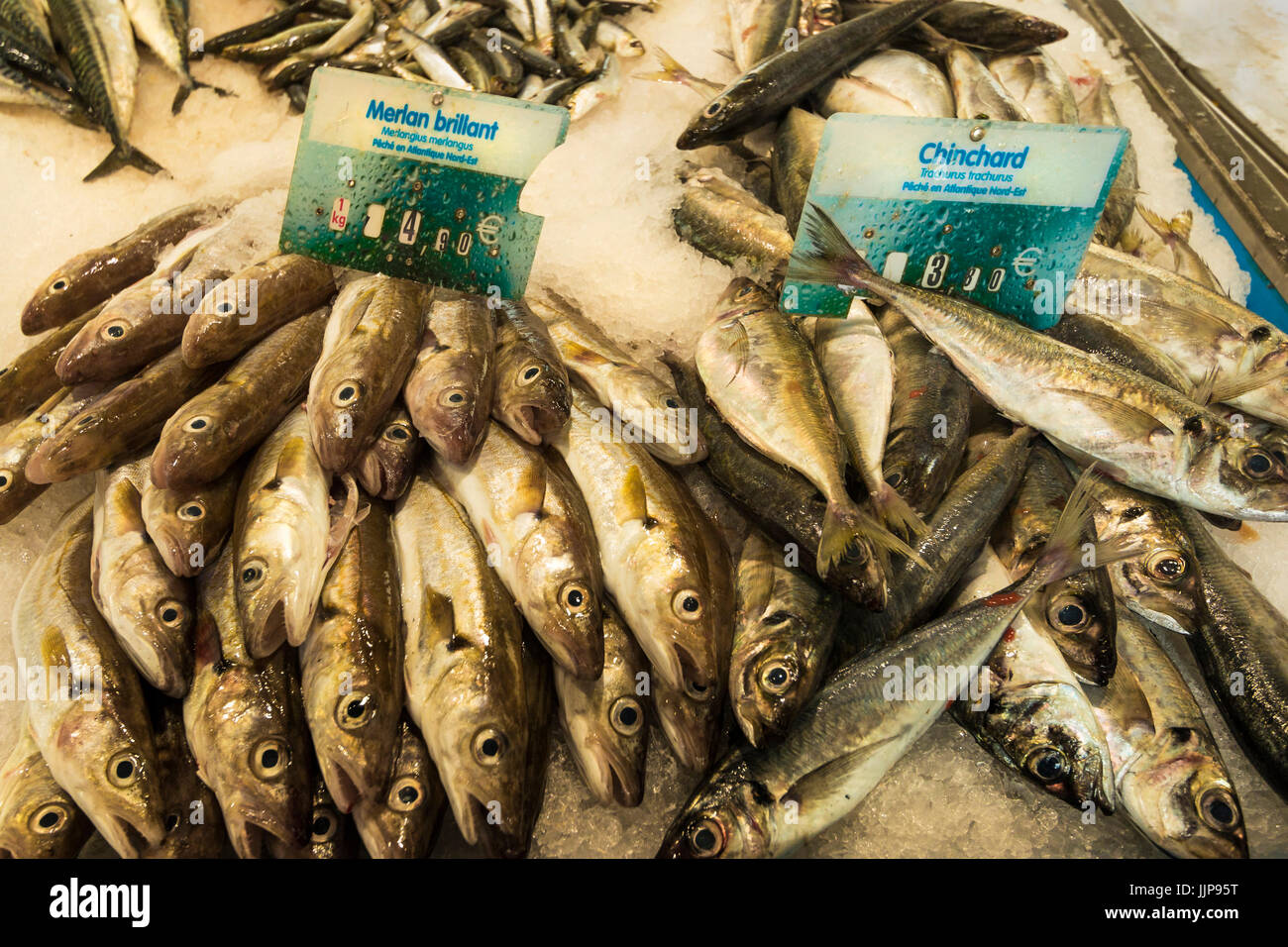 Whiting fish hires stock photography and images Alamy