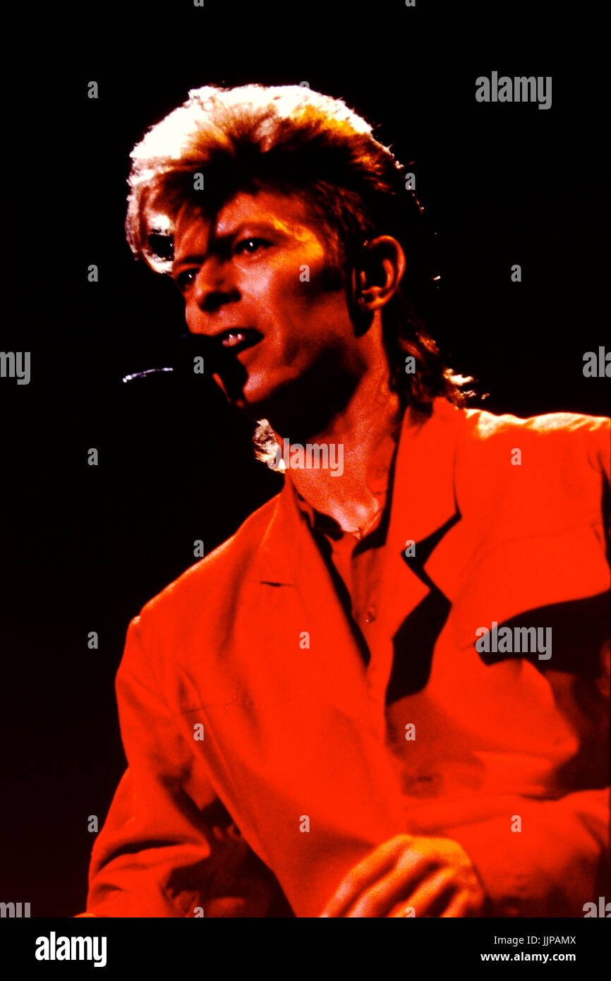 American Rock Star David Bowie Performs In Lyon (france Stock Photo - Alamy