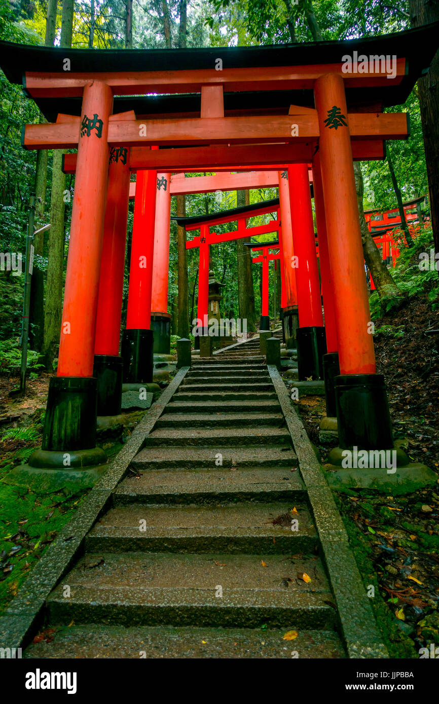 Red Tori Gate at Fushimi Inari Shrine in Kyoto, Japan Stock Photo Alamy