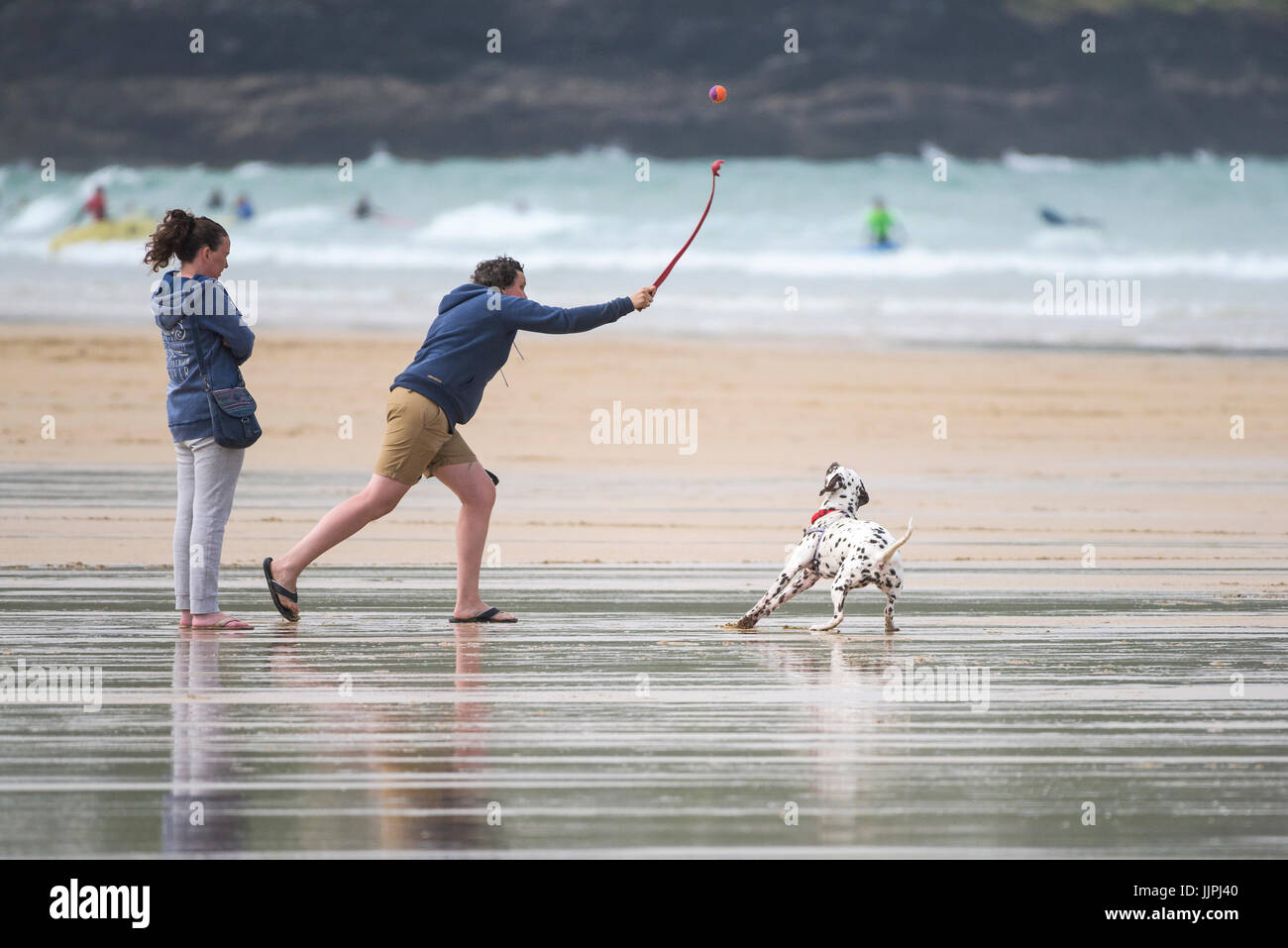 Dalmation dog chasing ball on Fistral Beach. Stock Photo