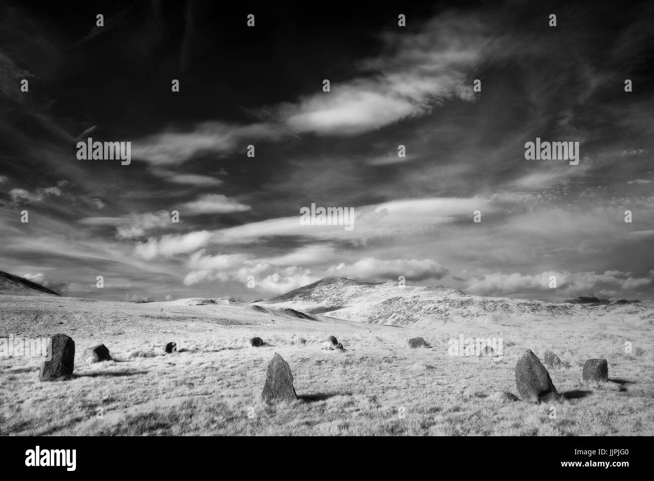 White moss Black and White Stock Photos & Images - Alamy