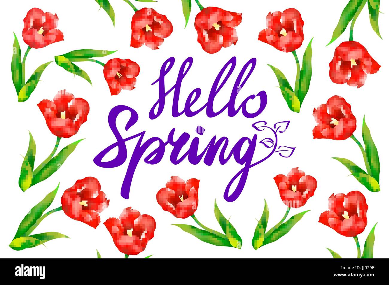 Hello Spring phrase vector lettering. Hand drawn calligraphy, white ...