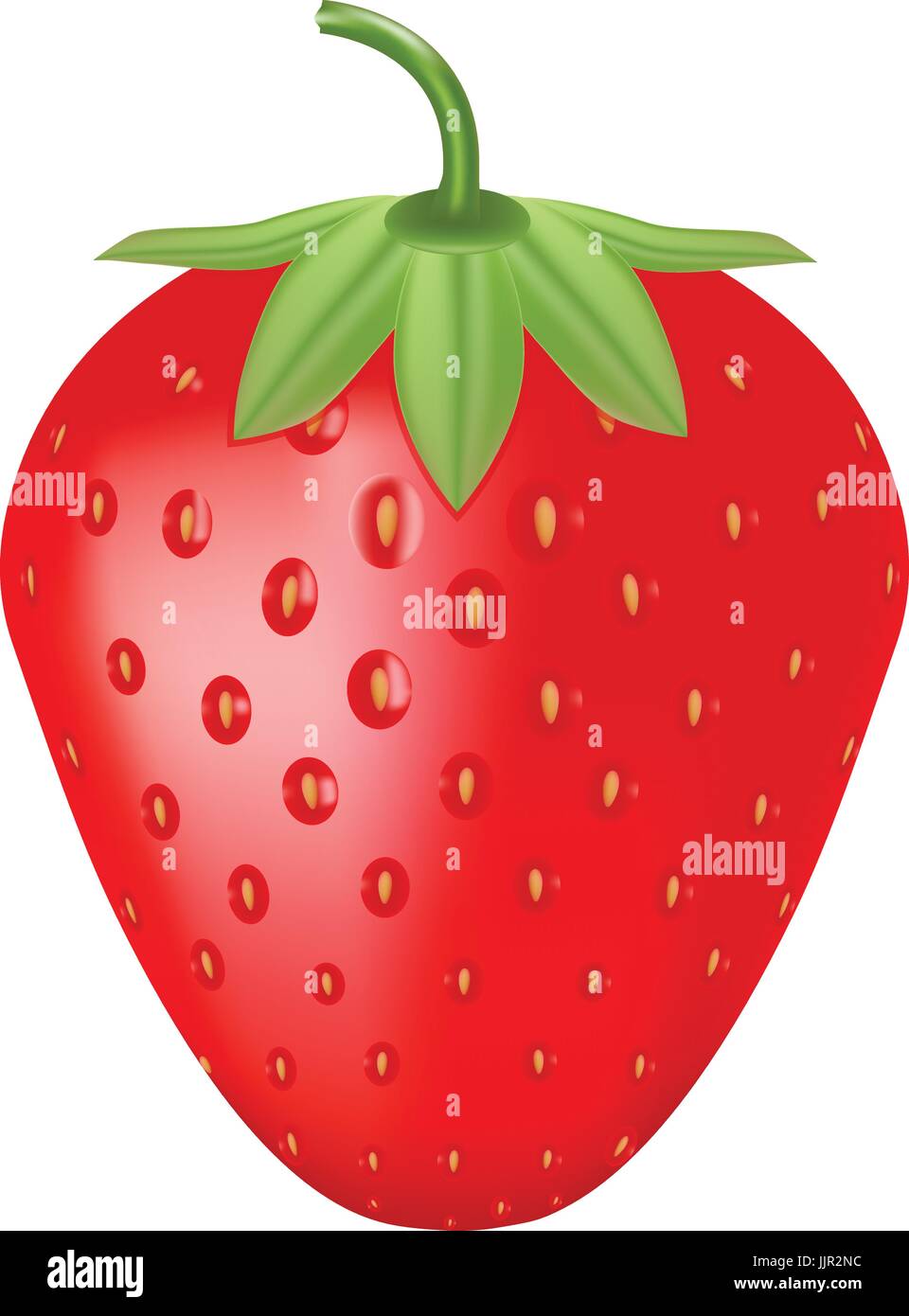 Single Fresh Ripe Strawberry Isolated On A White Background Stock ...