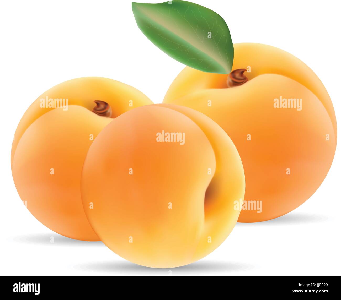 Group Of Ripe Apricot With Leaves Isolated On A White Background Stock ...