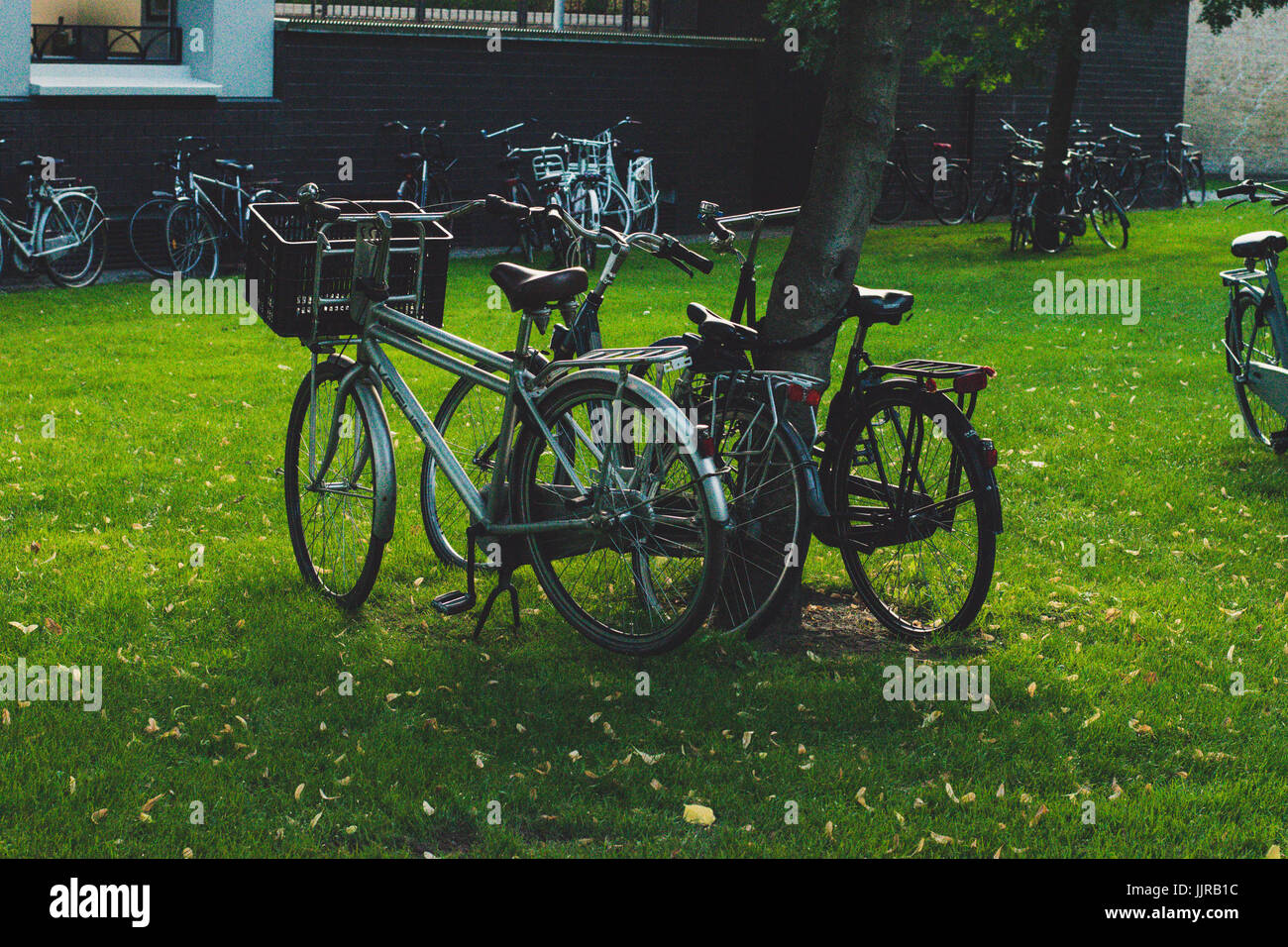 Pastel blue bike hi-res stock photography and images - Alamy