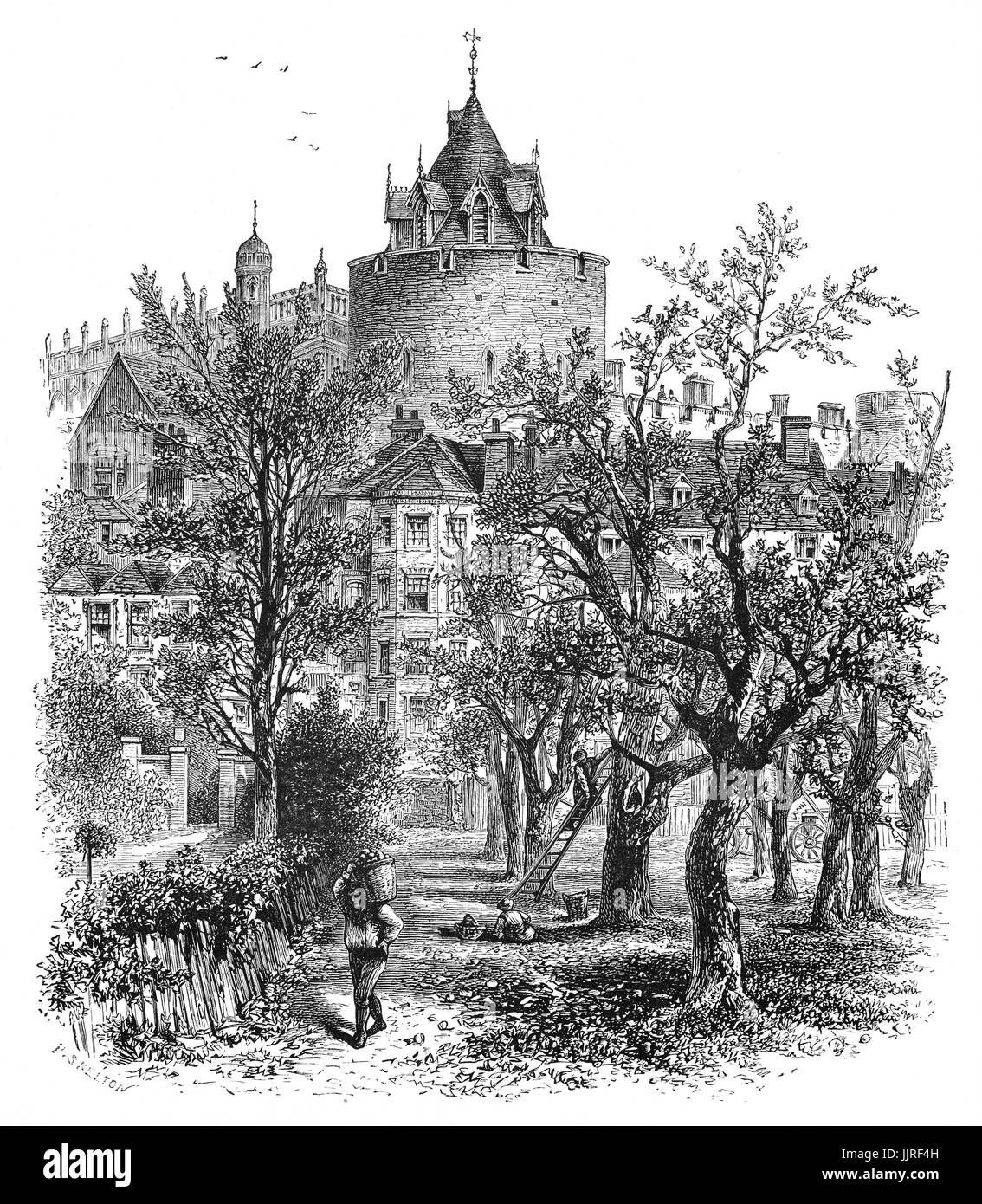 1870: Apple Orchard in front of the Curfew Tower, built in the 1220s by Henry III. In 1477, Edward IV granted the tower to the College of St George  as a belfry and a great timber frame was erected within it to house the bells and clock mechanism. The College bells and clock have hung here ever since. Windsor Castle, Berkshire, England Stock Photo
