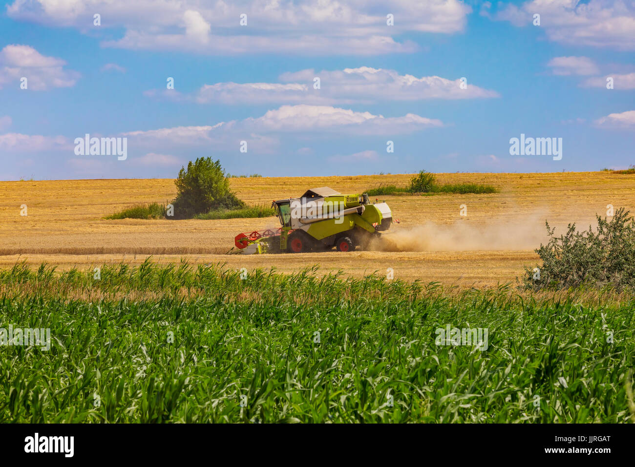 Combine harvester in action on wheat field. Palouse harvest season