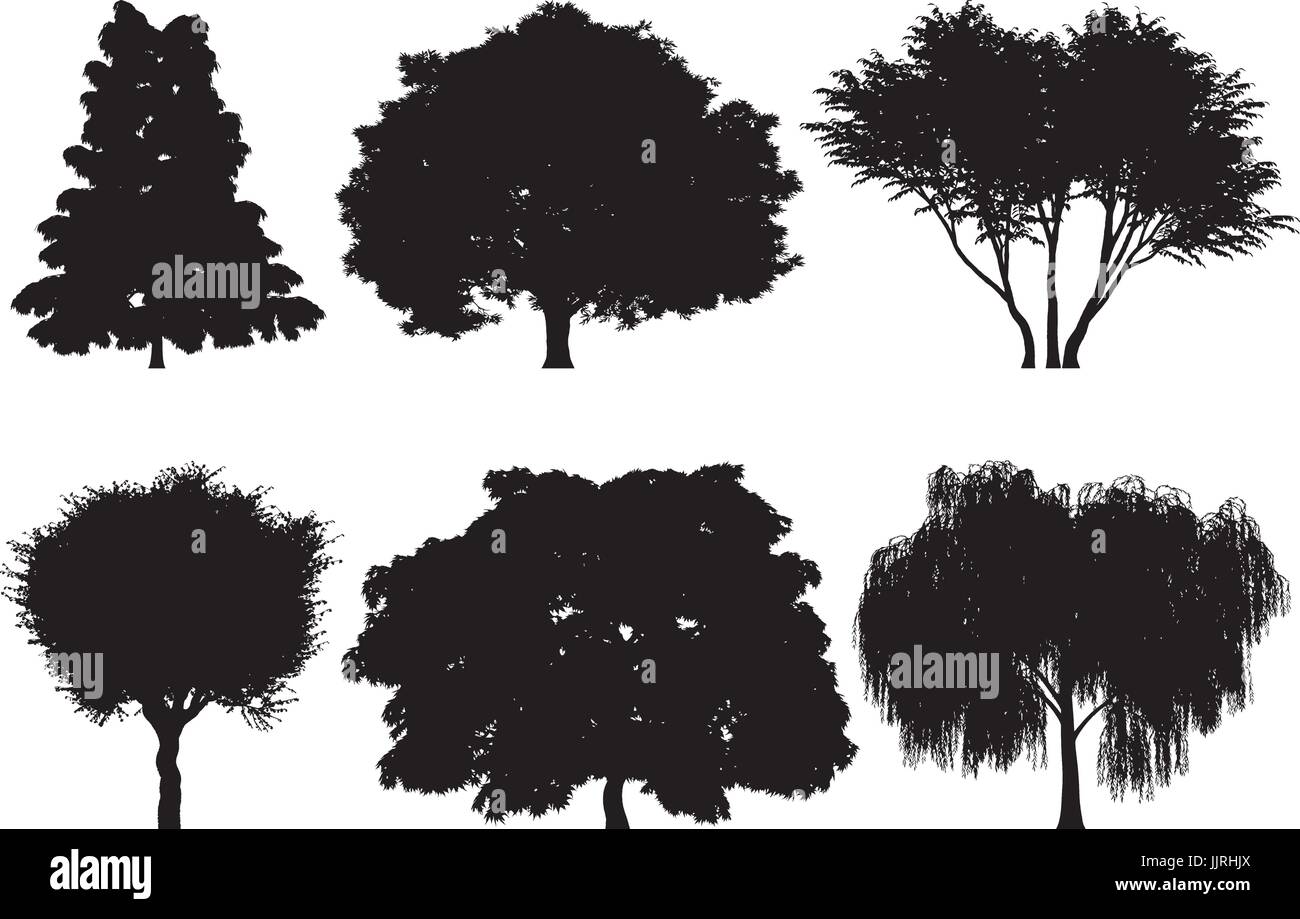 Vector illustration of tree silhouettes Stock Vector Image & Art - Alamy