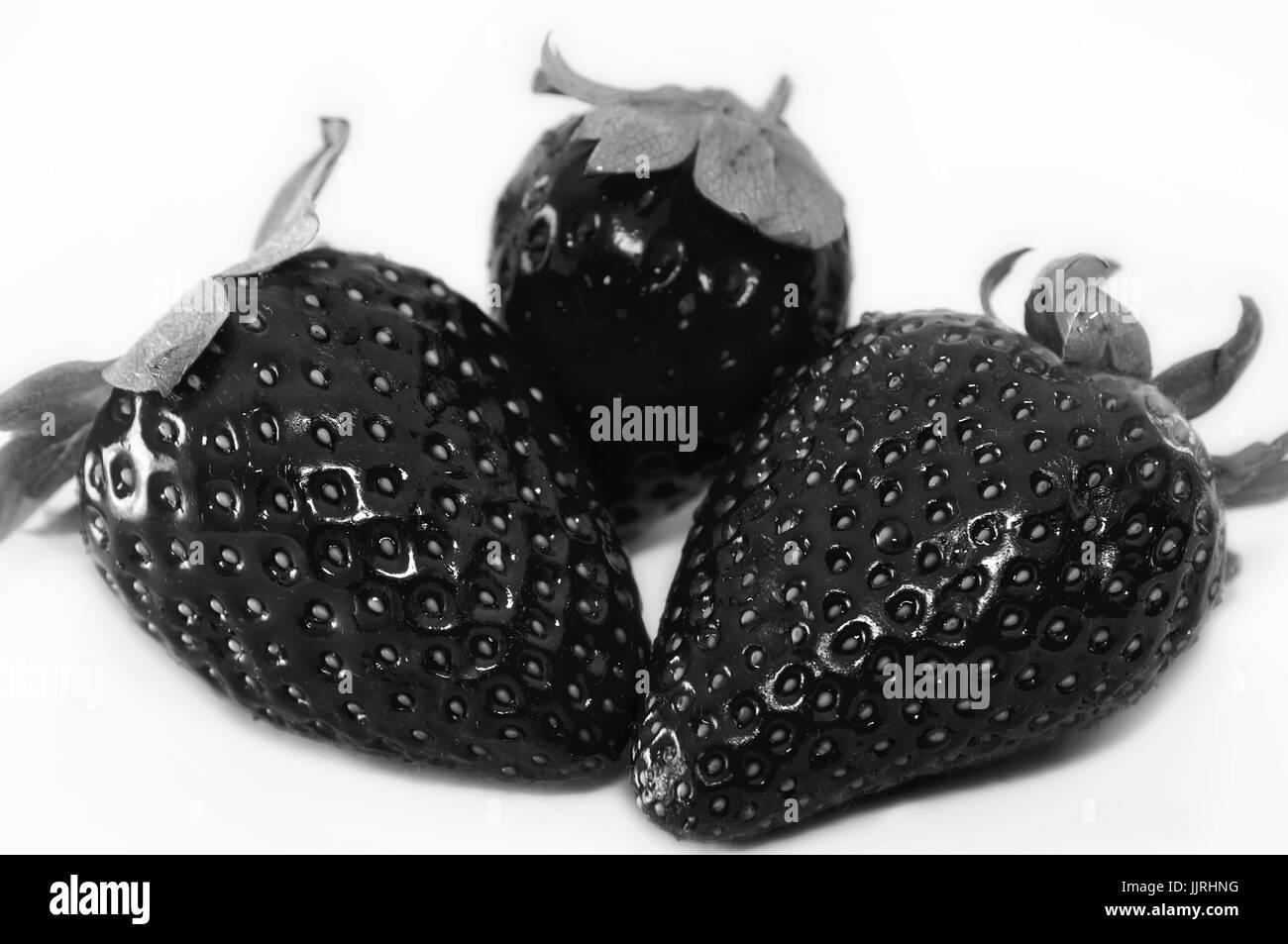 Closeup photo of some black strawberries with high contrast and a white background Stock Photo