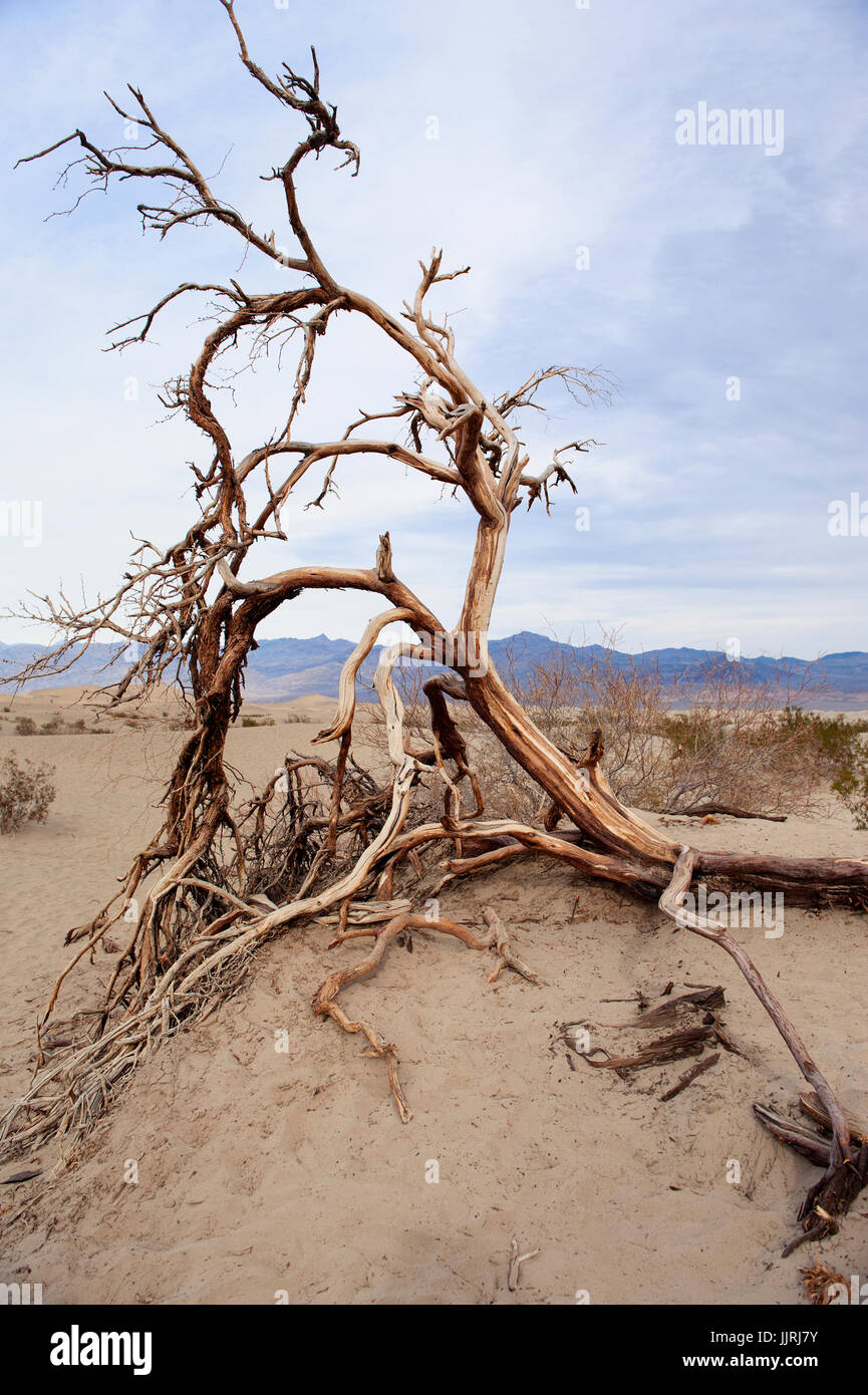 Death Valley Landscape, desert southwest USA Stock Photo