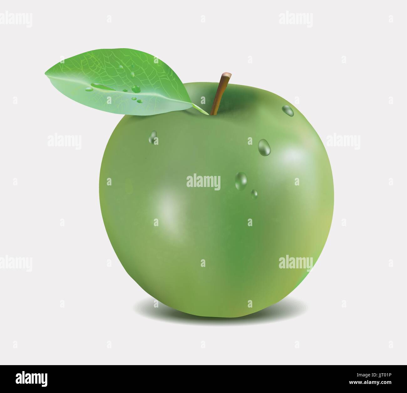 Green apple with water drops - Gradient Mesh vector illustration Stock Vector