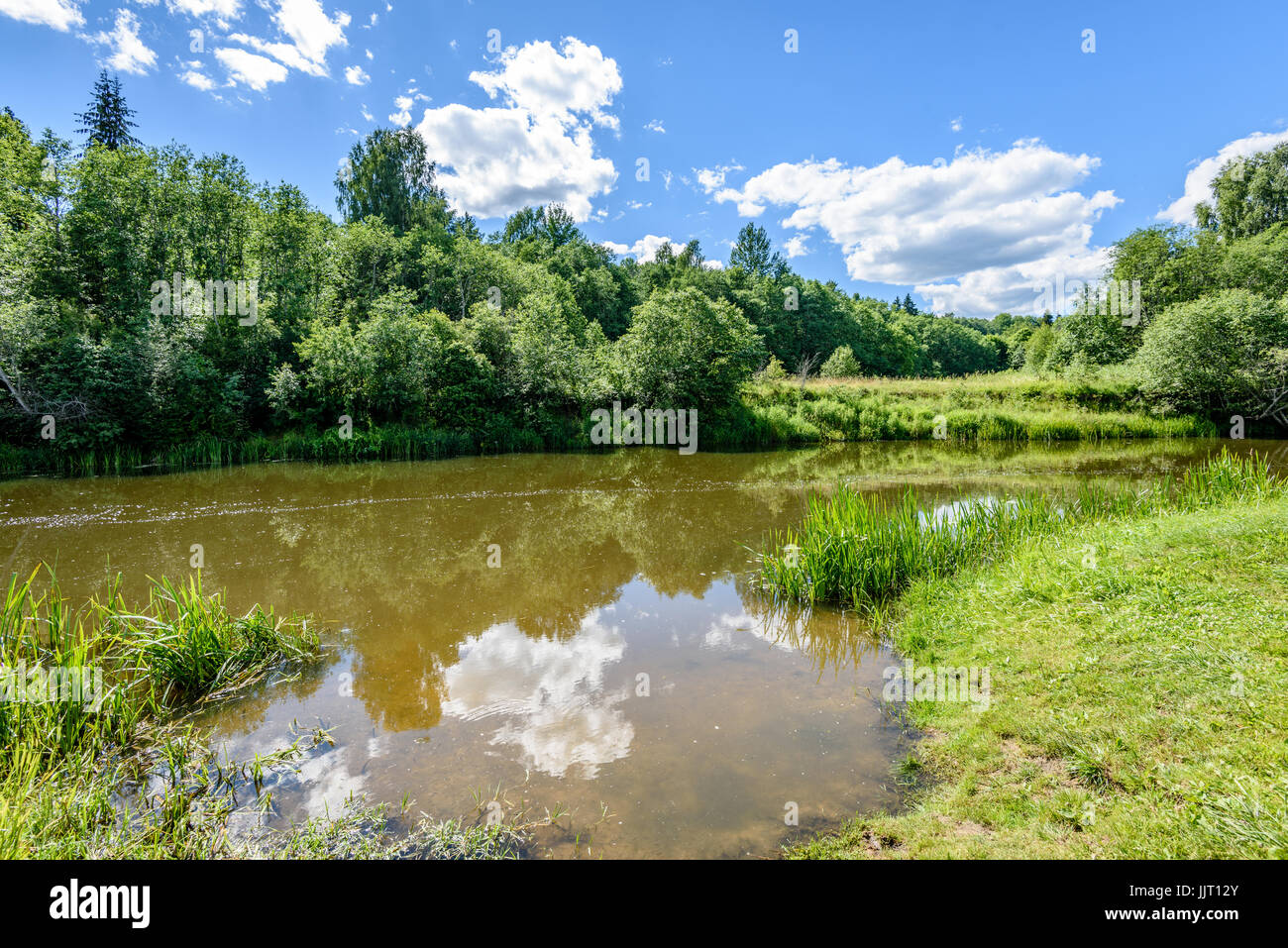 reflection of clouds in the lake with forest and trees in background ...