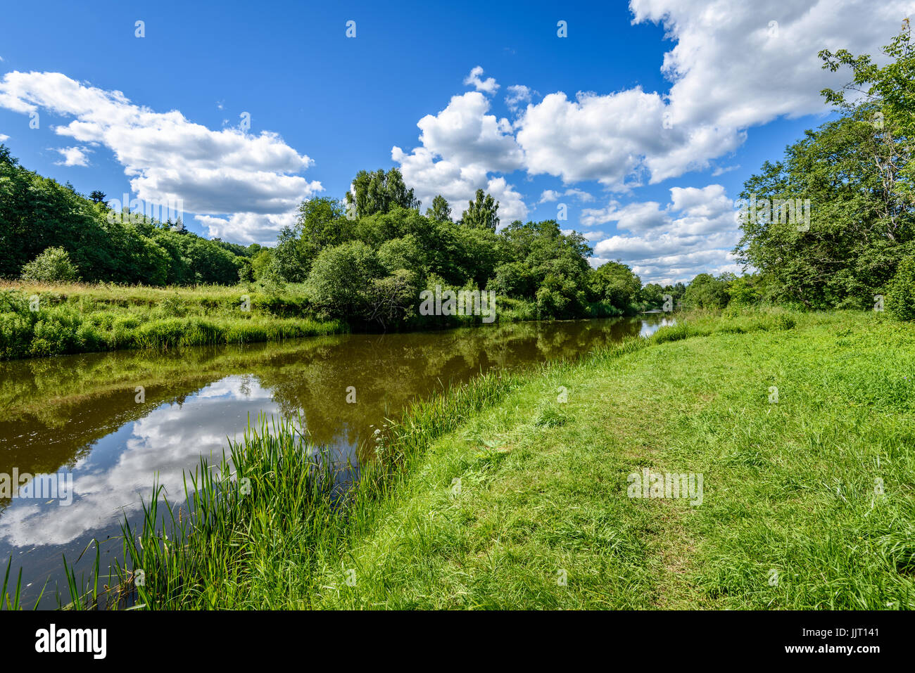 reflection of clouds in the lake with forest and trees in background ...