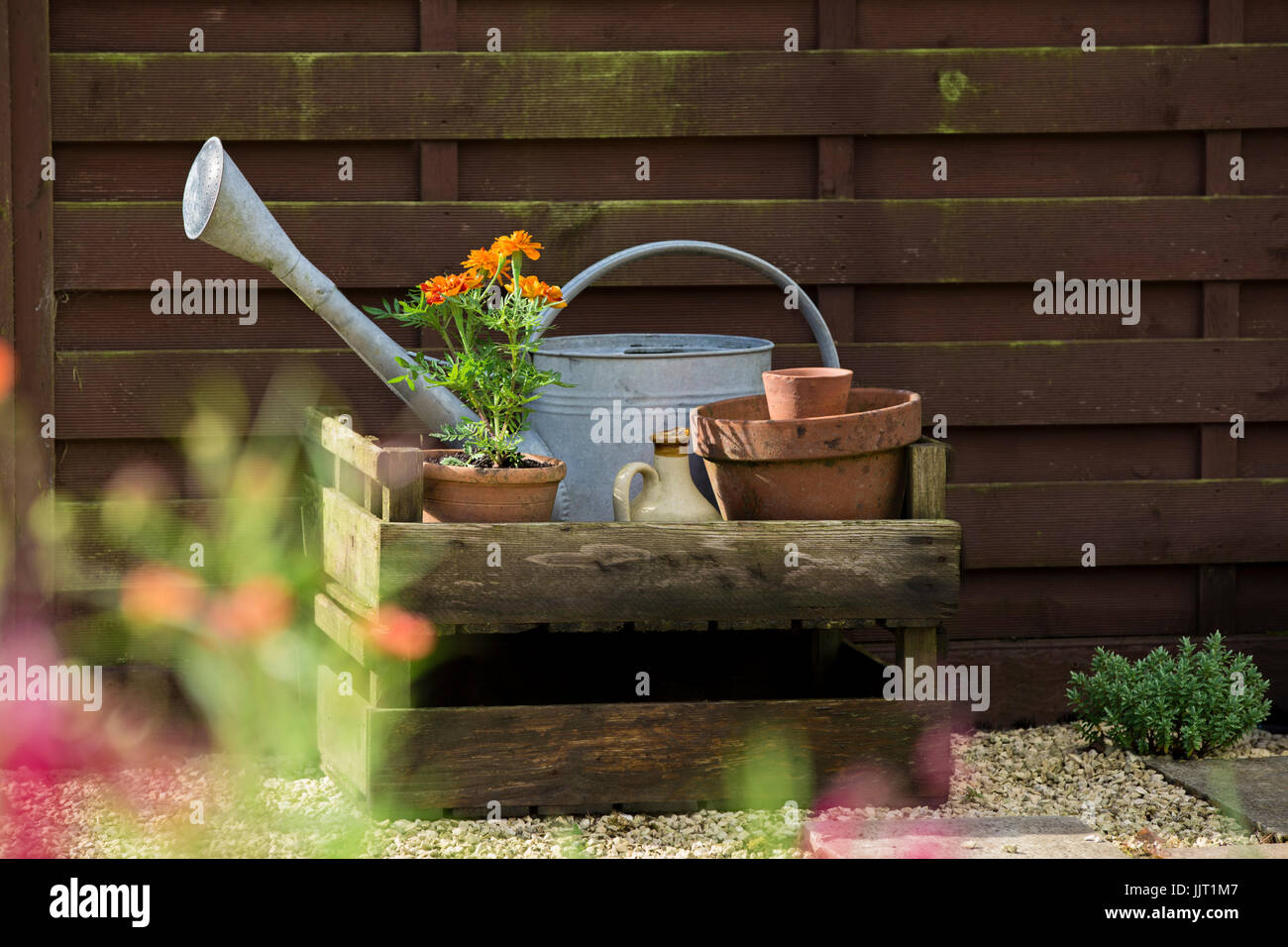 Flowers and pots in a cottage garden. Stock Photo