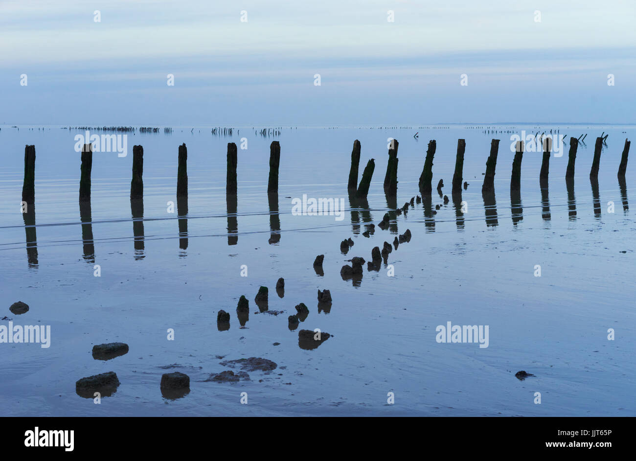 A criss-cross pattern of poles along the Frisian coast of the Wadden Sea, around sundown. Stock Photo