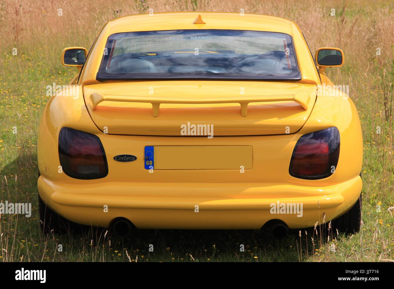 TVR Cerbera rear of the year Stock Photo