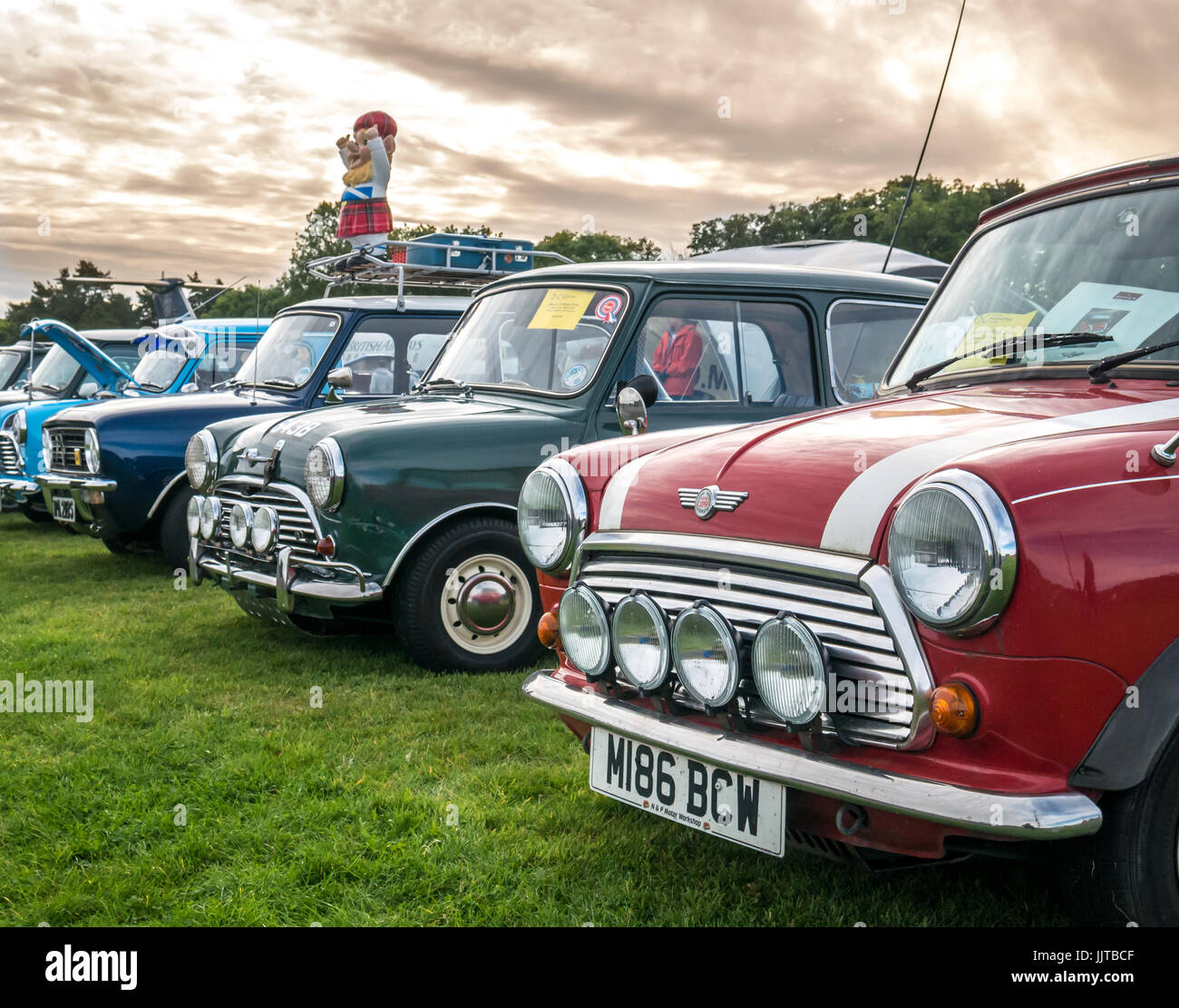 Row of colourful classic Mini cars at Wheels and Wings family event 2016,  East Fortune, East Lothian, Scotland, UK Stock Photo