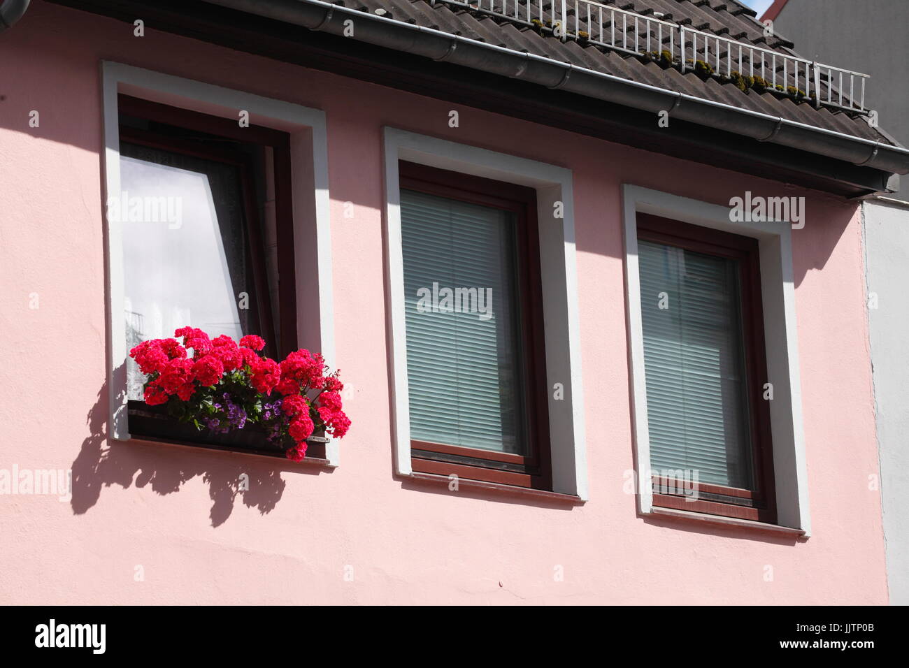 house with windows and Flower pot Stock Photo - Alamy