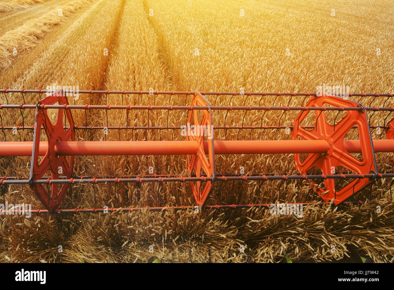 Combine harvester revolving reel harvesting wheat field from farmers