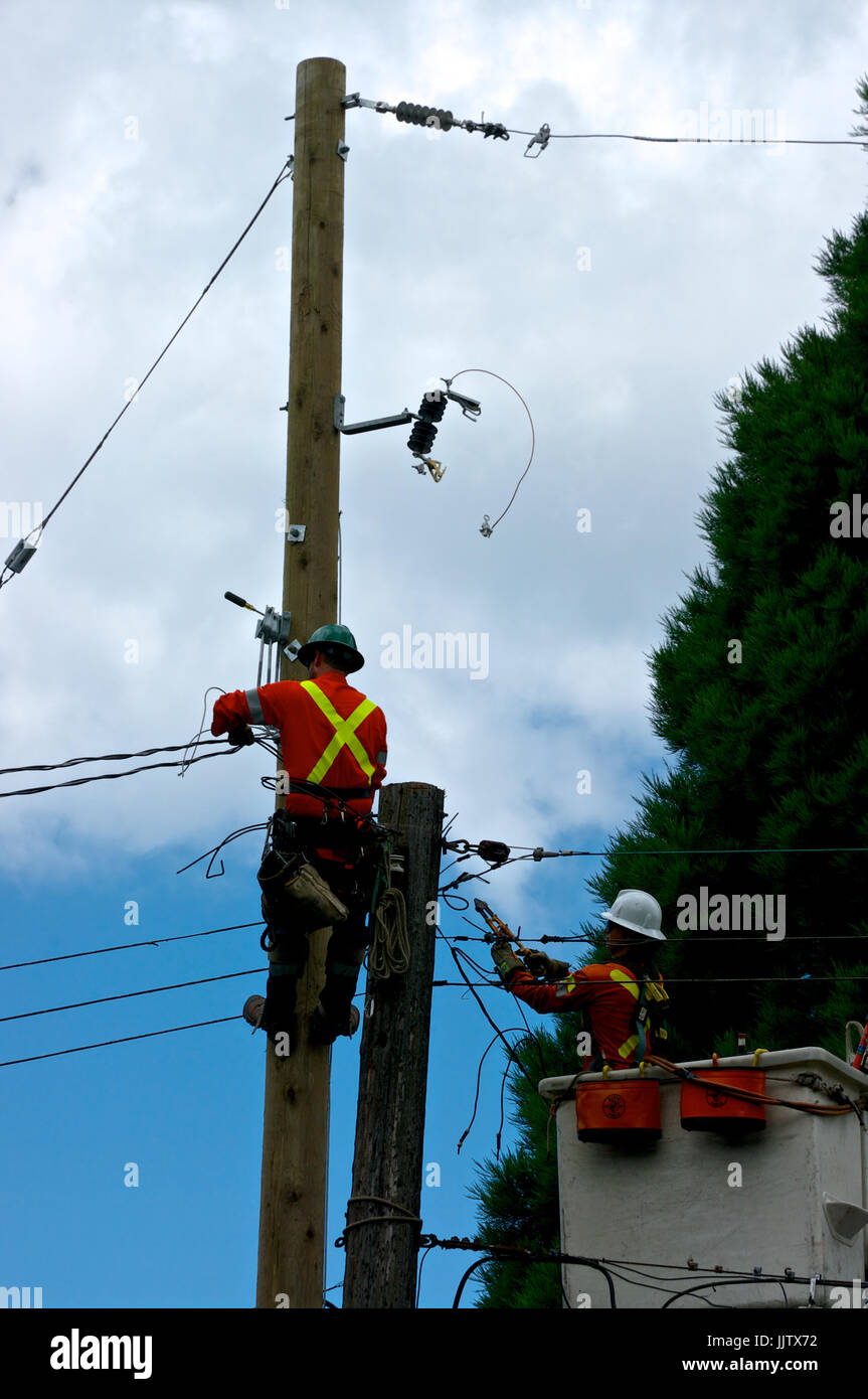 British Columbia Hydro electrical workers replacing electricity power pole Stock Photo