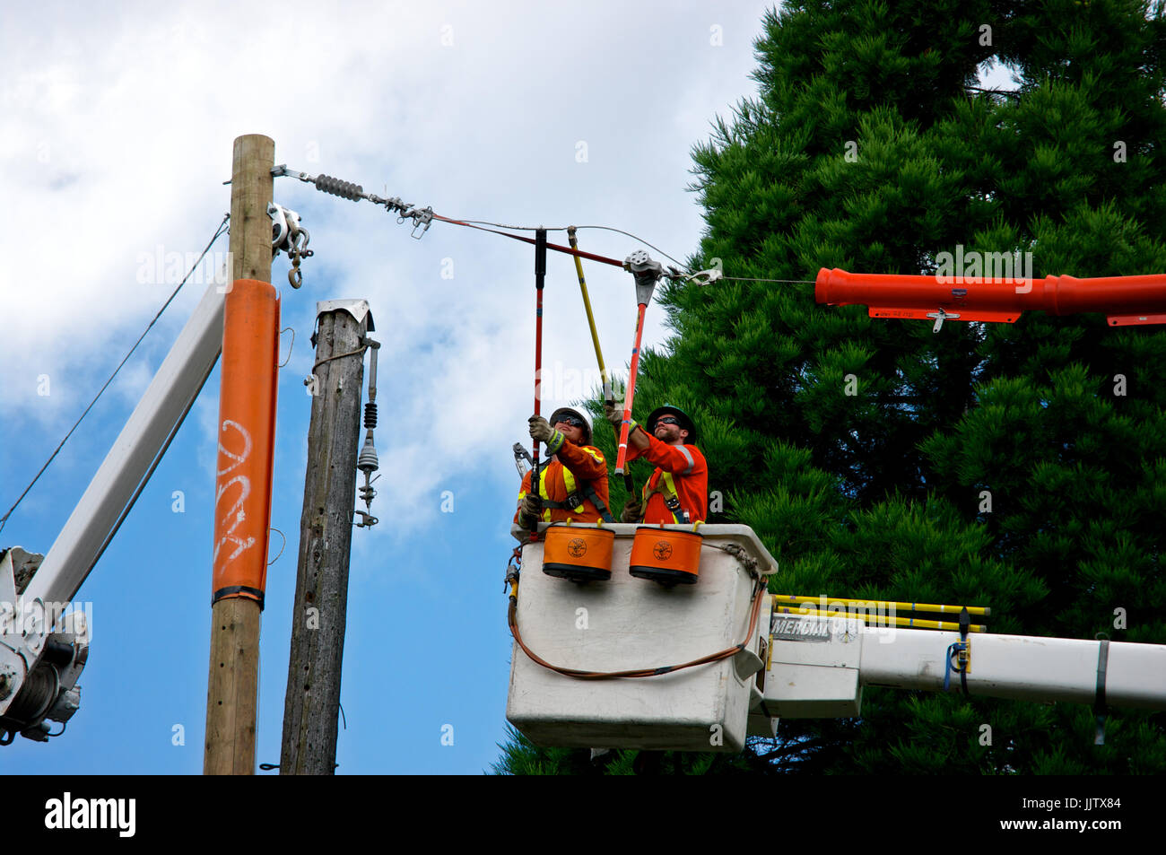 British Columbia Hydro electrical workers splicing electricity power cable on pole Stock Photo