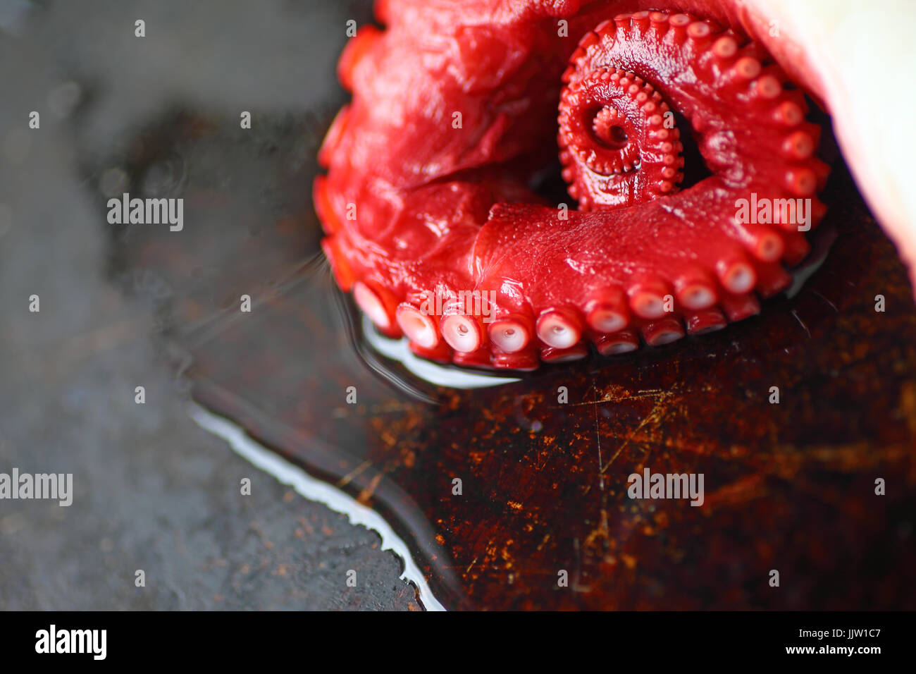 An octopus tentacle on a tray with water and copy space Stock Photo