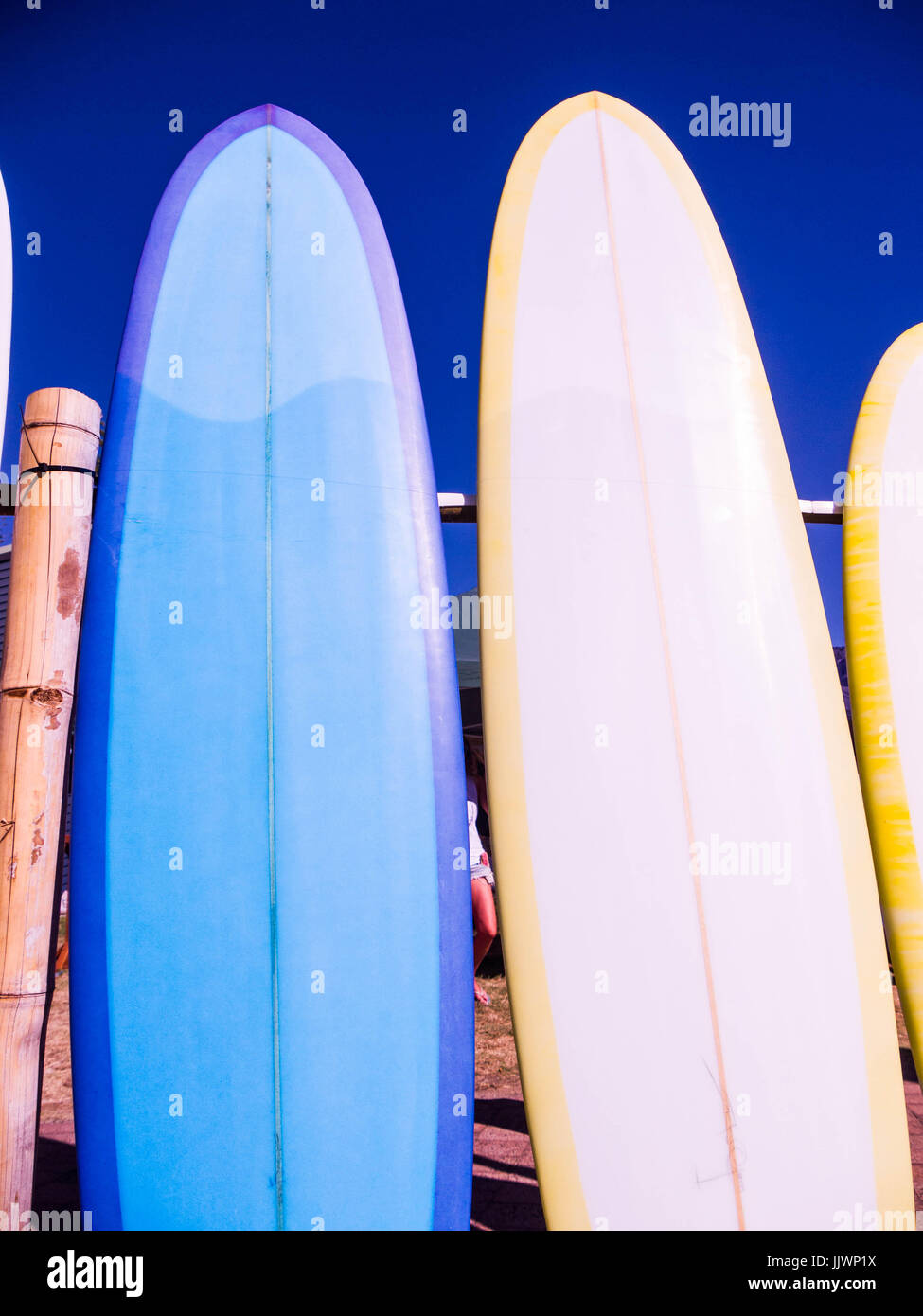 Surfboards for sale hires stock photography and images Alamy