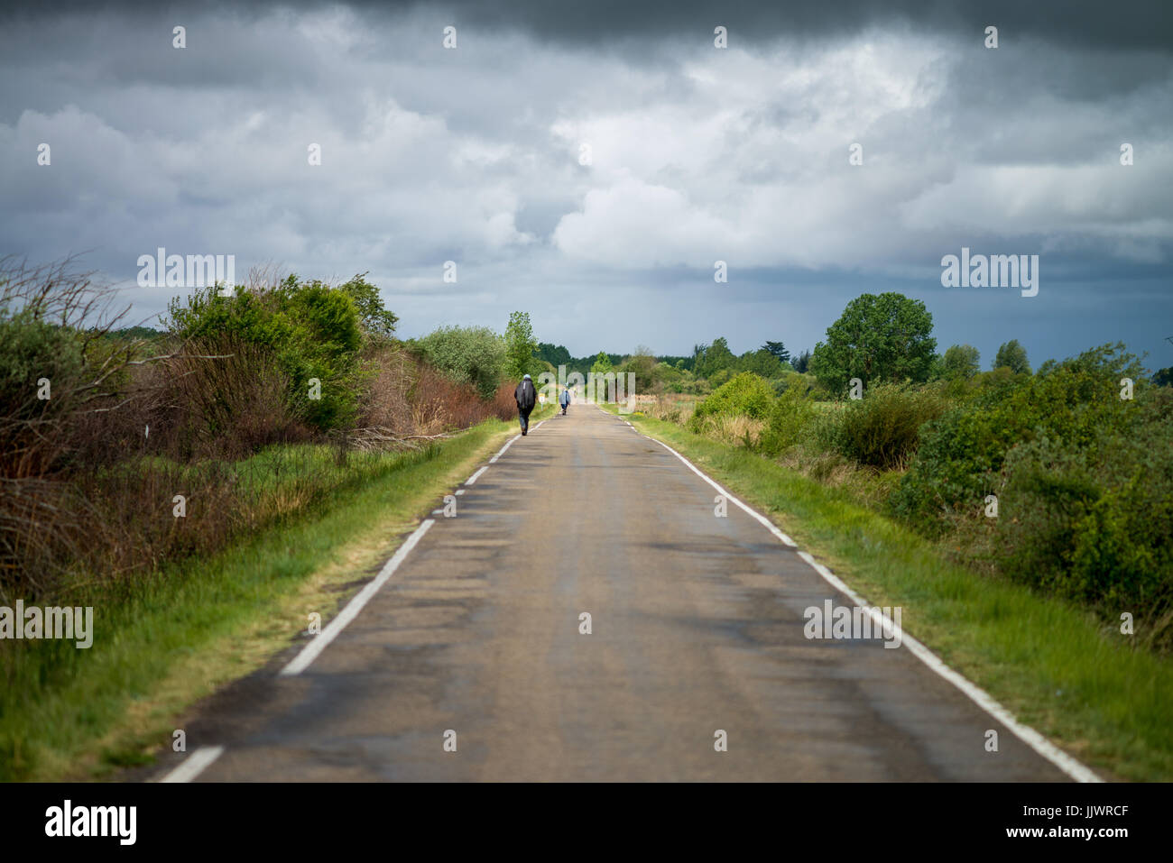 Way from Carrion de los Condes to the Calzadilla de la Cueza, Spain, Europe. Camino de Santiago. Stock Photo