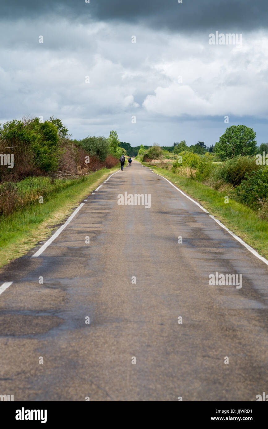 Way from Carrion de los Condes to the Calzadilla de la Cueza, Spain, Europe. Camino de Santiago. Stock Photo