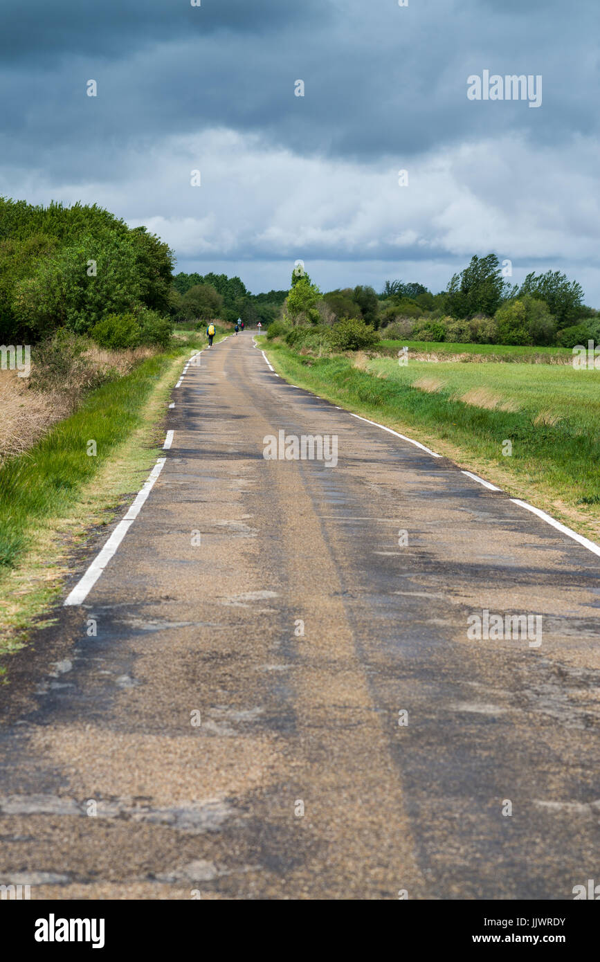 Way from Carrion de los Condes to the Calzadilla de la Cueza, Spain, Europe. Camino de Santiago. Stock Photo