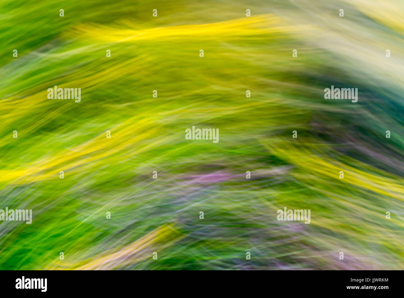 defocused colorful motion blur nature background Stock Photo - Alamy