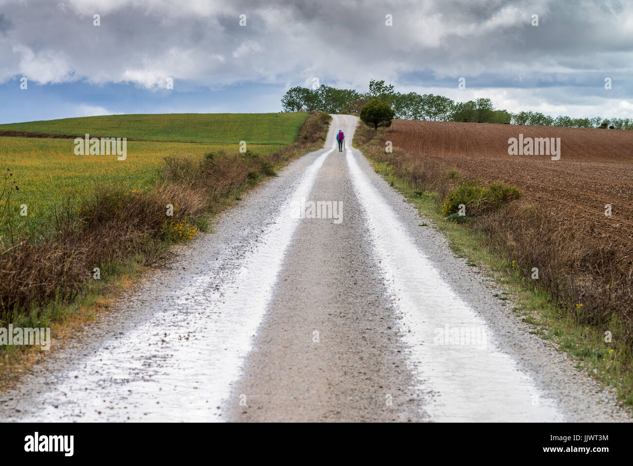 Way from Carrion de los Condes to the Calzadilla de la Cueza, Spain, Europe. Camino de Santiago. Stock Photo