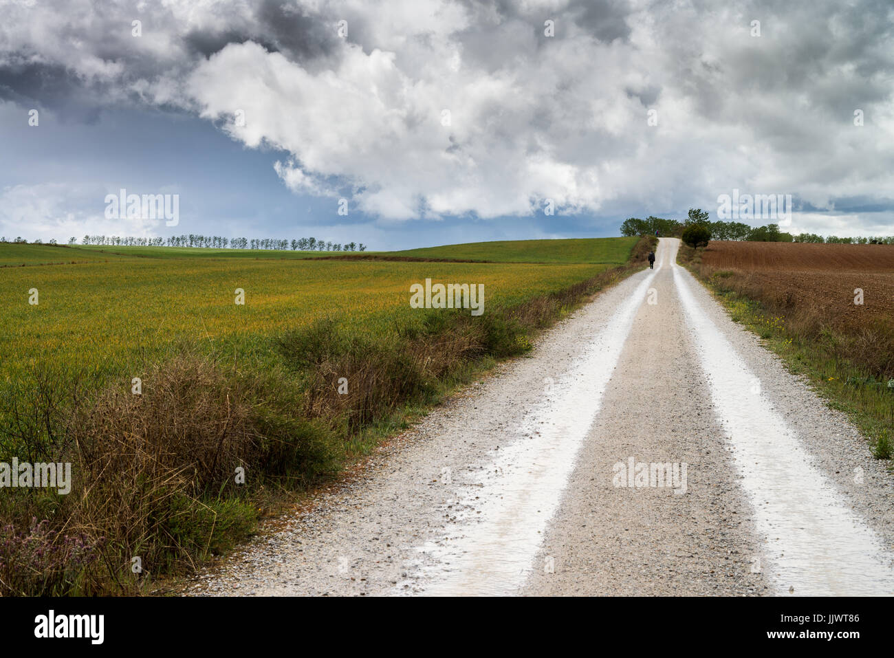 Way from Carrion de los Condes to the Calzadilla de la Cueza, Spain, Europe. Camino de Santiago. Stock Photo