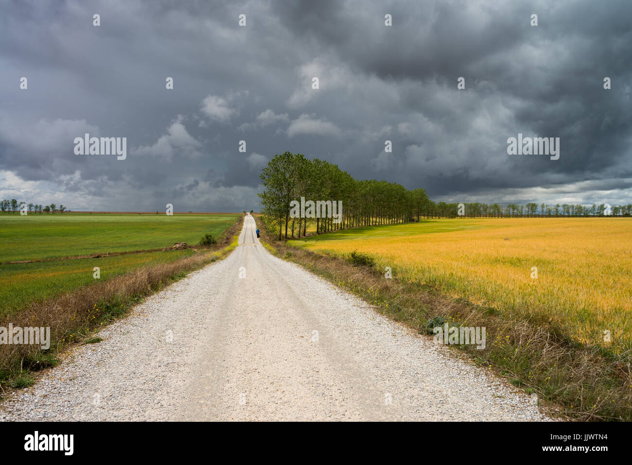 Way from Carrion de los Condes to the Calzadilla de la Cueza, Spain, Europe. Camino de Santiago. Stock Photo