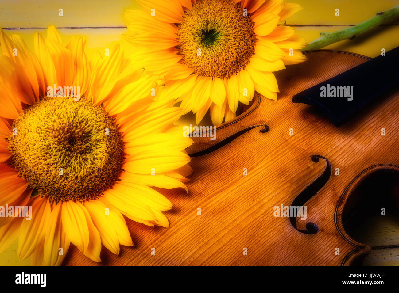 Sunflowers And Old Violin Stock Photo
