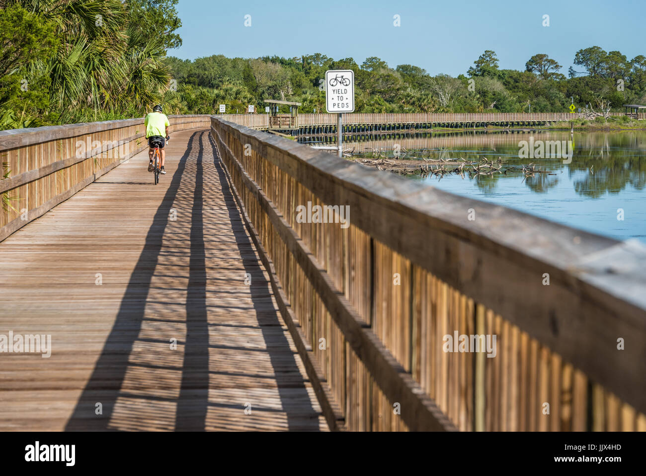 Bicycle rider on the walking and biking boardwalk trail at Spoonbill Pond on Big Talbot Island in Jacksonville, Florida, USA. Stock Photo
