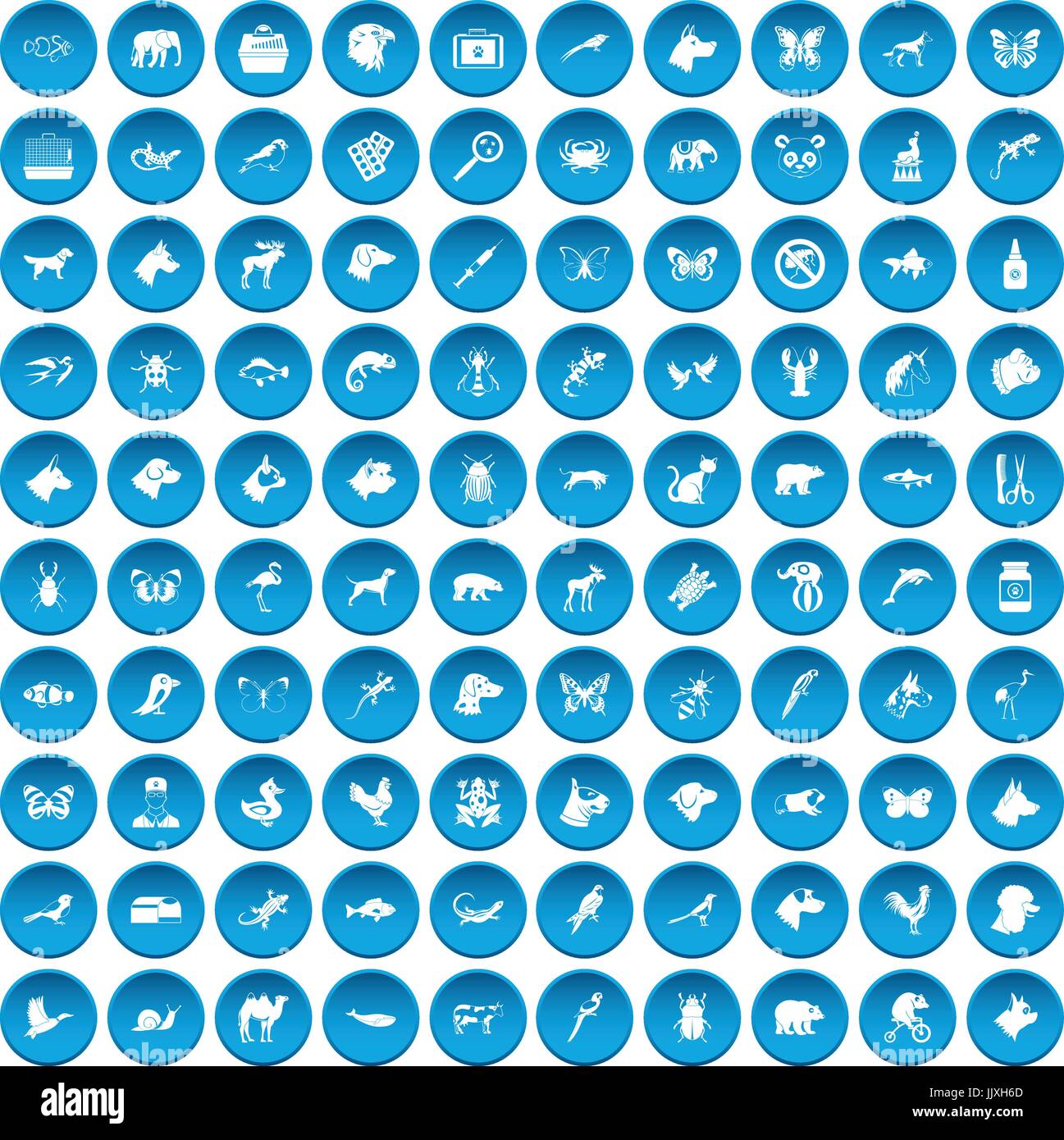 100 animals icons set blue Stock Vector Image & Art - Alamy