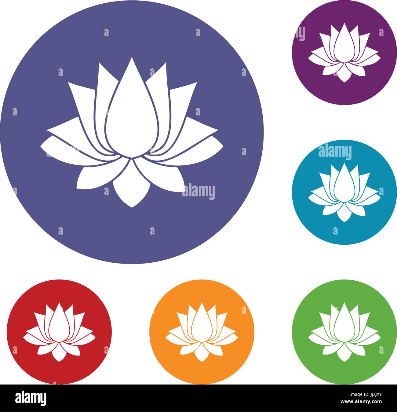 India blooming lotus Stock Vector Images - Alamy