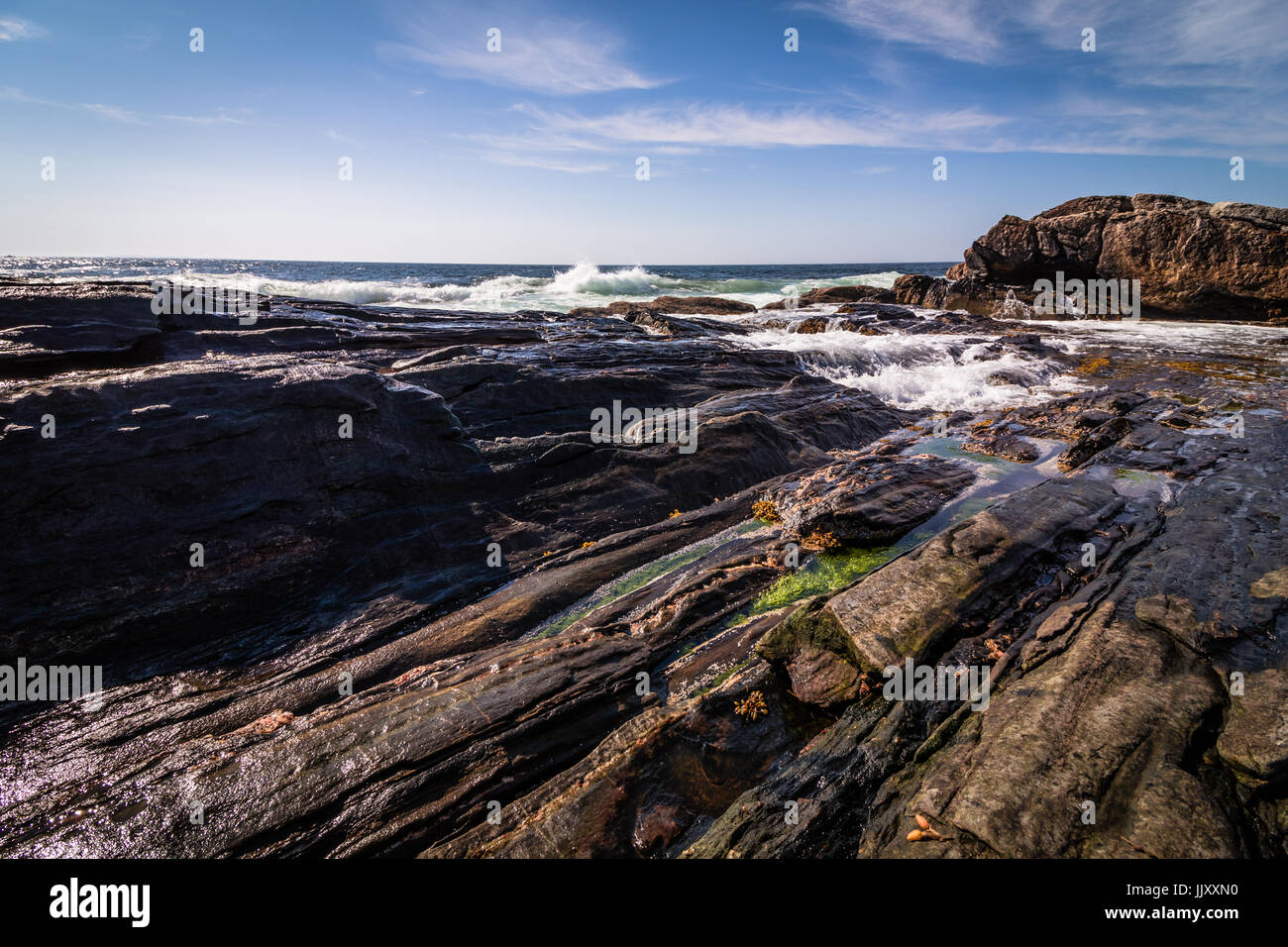 Scenic rocky shoreline in La Verna Preserve in Bristol, Maine, on a beautiful summer day Stock Photo